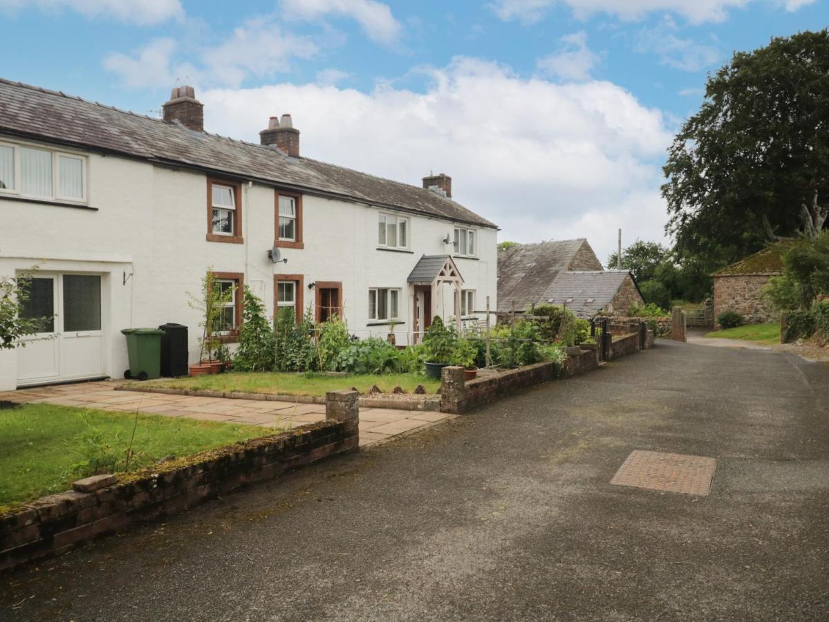 3 Springfort Cottages 펜리스 외부 사진